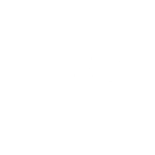 SLYTE COLLECTIVES